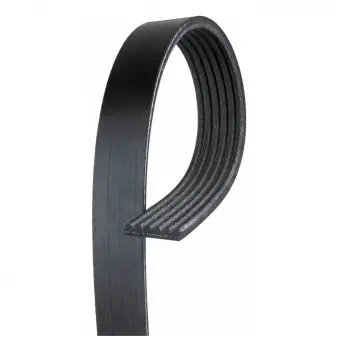 V Kayışı- 108567 Topran - Seat Cordoba 1.6 1.8 1.9 2.0 Cordob Uyumlu