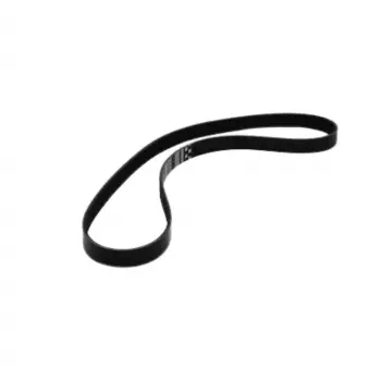 Peugeot Cıtroen 2.5 Turbo Uyumlu V Kayışı 5PK738 Wisco