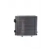 Renault Express 1.9 Dizel 91+ 1991- Su Radyatörü Brazing MT 460X438X32 8MK376706401 Wisco