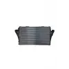 Opel Signum Vectra C 1.9 Cdti 2004- Turbo Radyatörü Intercooler 646X397X30 13167338 Wisco