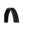 Kayış CNT-6PK1755 ContiTec