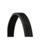 Kayış CNT-5PK1885 ContiTec