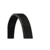 Kayış CNT-6PK2060 ContiTec