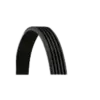 Kayış CNT-5PK975 ContiTec