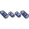 BMW E30 Helezon Yayı Set 4ad Mavi Sport 33539058780 Wender