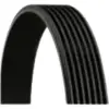 BMW E34 E38 Kayış M60 Devirdaim 11281702898 Contitec