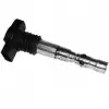 VW Passat B5.5 Touareg Phaeton A8 D3 4.0 6.0 2003- Atesleme Bobini 07C905115C Winpower