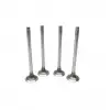Opel Ascona C Astra F G Kadett D E Vectra A 1.6 D 1.7 TD 16D 16DA 1981- Subap Egzost