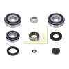 VW Ford Mercedes Benz BMW Sanzuman Rulmani 23X38X20 23211224802 INA