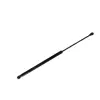 Bagaj Amortisoru Yaris 1999-2005 503mm 245n 404657732003 Nextpart