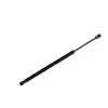 Renault 11 1983-1985 Bagaj Amortisoru 404657734605 Nextpart