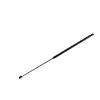 Vw Passat Alltrack B7 2012-2014 Passat B7 Variant 2010-2013 Motor Kaput Amortisoru 3AA 823 359 A Nextpart