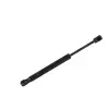 Mazda 6 2007-2010 Seat Toledo II 1998-2000 Bagaj Amortisoru 1M5 827 550 B Nextpart