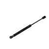 Audi A4 B5 1994-2000 Tt Roadster 1999-2006 Tt 1998-2006 Bagaj Amortisoru 1J5 827 552 Nextpart