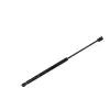 Renault Clio I 1990-1996 Bagaj Amortisoru 404657709057 Nextpart
