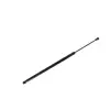 CitroëN C4 I 2004-2007 Bagaj Amortisoru 404657730565 Nextpart