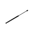 Renault Megane II HB 419mm 500N 2002-2008 Bagaj Amortisoru 82 00 051 750 Nextpart