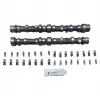 Opel Astra H Corsa C Z13DT D13A Z13DTH 2003- Eksantrik Mili Takim 12855340 INA