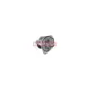 Renault Fluence 1.5 dCi 2010-2016 Megane III 1.5 dCi 2008-2016 Yakıt Filtresi Nextpart