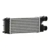 Citroen Berlingo C4 2007- Turbo Radyatörü Intercooler 300X146X80 8ML376777361 Wisco