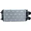 Peugeot 208 2008 2019- Turbo Radyatörü Intercooler 9824742280 Wisco
