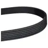Renault R9 R11 1991-1996 V Kayis Kanalli Kayis 6PK884 6PK884 Wisco
