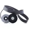 Renault Scenic Megane 2002-2005 V Kayis Kanalli Kayis 7PK1125 7PK1125 Wisco
