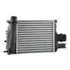 Renault Captur 2012- Turbo Radyatörü Intercooler 256X218X62 8ML376988154 Wisco