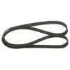 Ford Focus 1998-2004 V Kayis Kanalli Kayis 6PK1890 6PK1890 Wisco