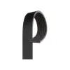 Peugeot Partner V Kayis Kanalli Kayis 6PK1113 6PK1113 Wisco