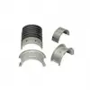 BMW Ana Yatak M20 M50 M52 M54 0.50mm 6 CYL B-DG87491621 DPR