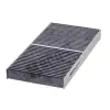 Klima Filtresi R171 R172 Karbonlu