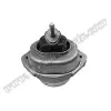 Motor Kulağı X5:E53 [M57/N]