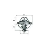 Termostat M41 [E36] 88C