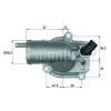 Termostat OM611 [W202] 87C