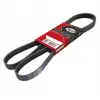 Universal V Kayisi 6PK1813RYP Gates