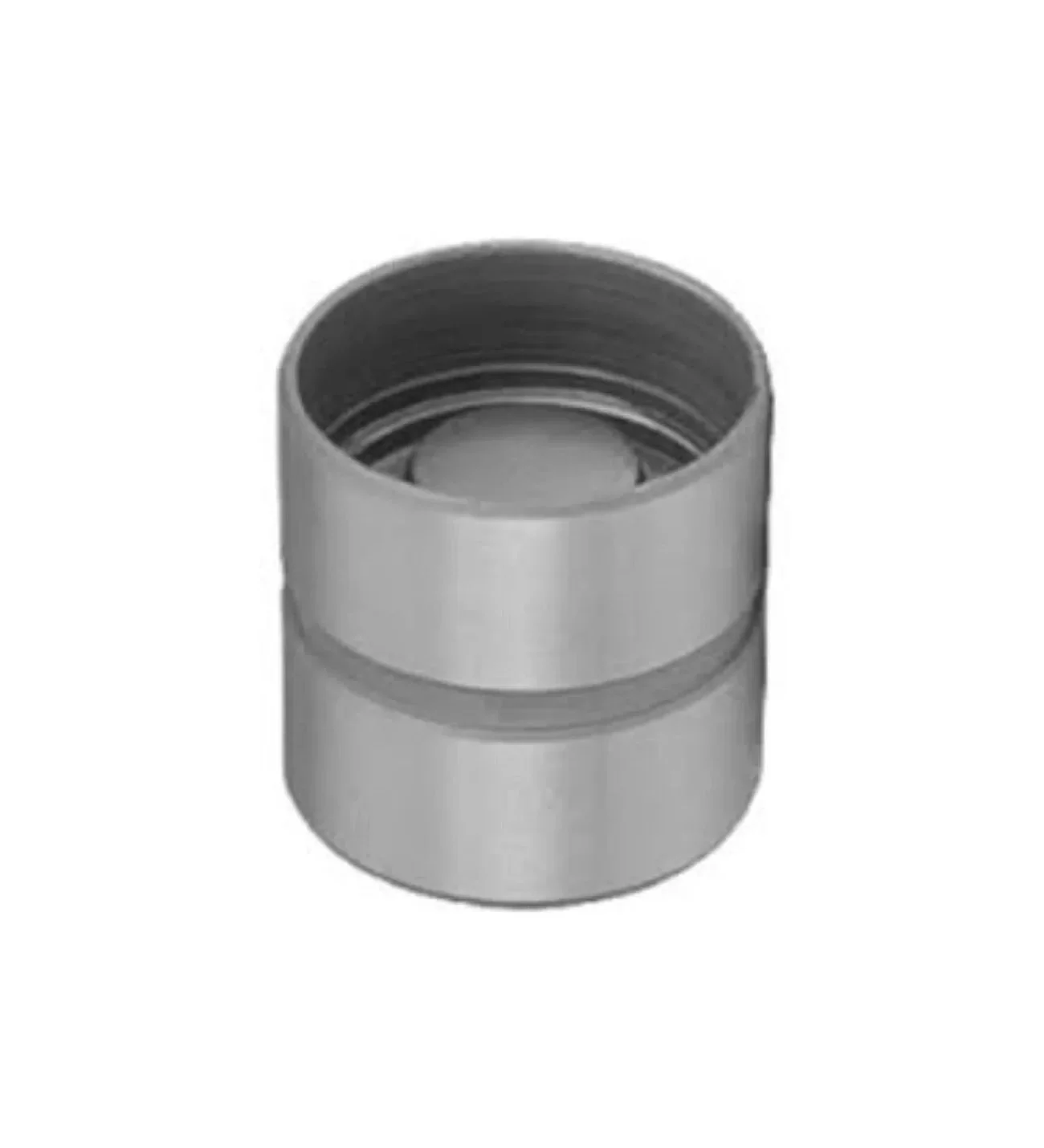 VW Bora GOLF4 PASSAT1.8 1.8T2.8 30V AEB APU ADR AWT AGN AGU 1997- Valve Cup Exhaust Small 12 Pieces 058109309F Wisco