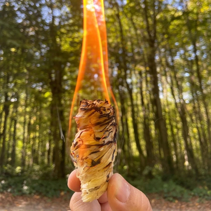 Bonga Odun Yünü Ateş Tutuşturucu - 350 g