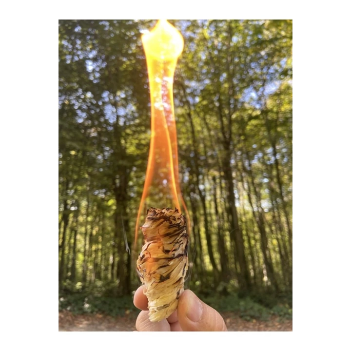 Bonga Odun Yünü Ateş Tutuşturucu (700 g)