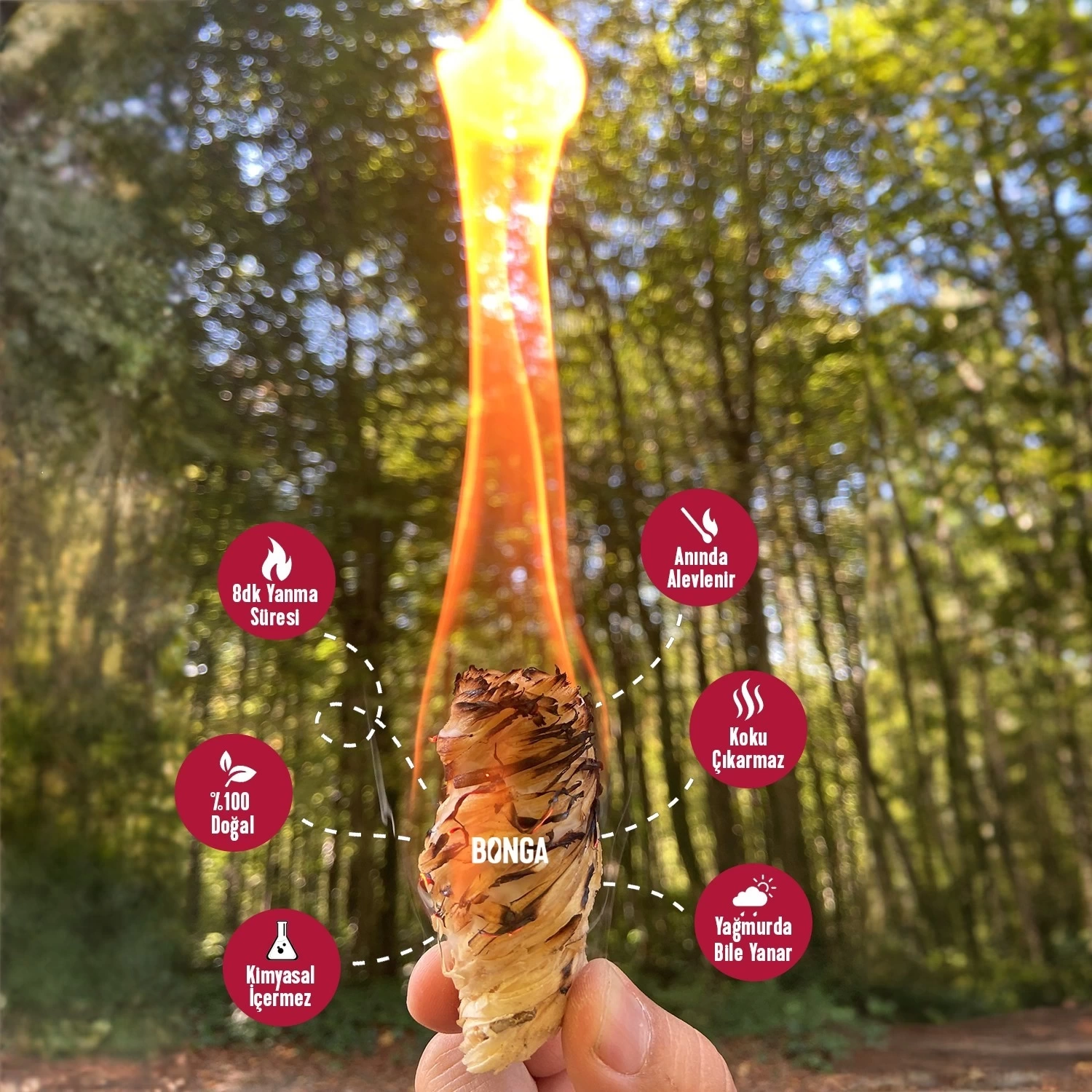 Bonga Odun Yünü Ateş Tutuşturucu (50 Adet) - 700 g