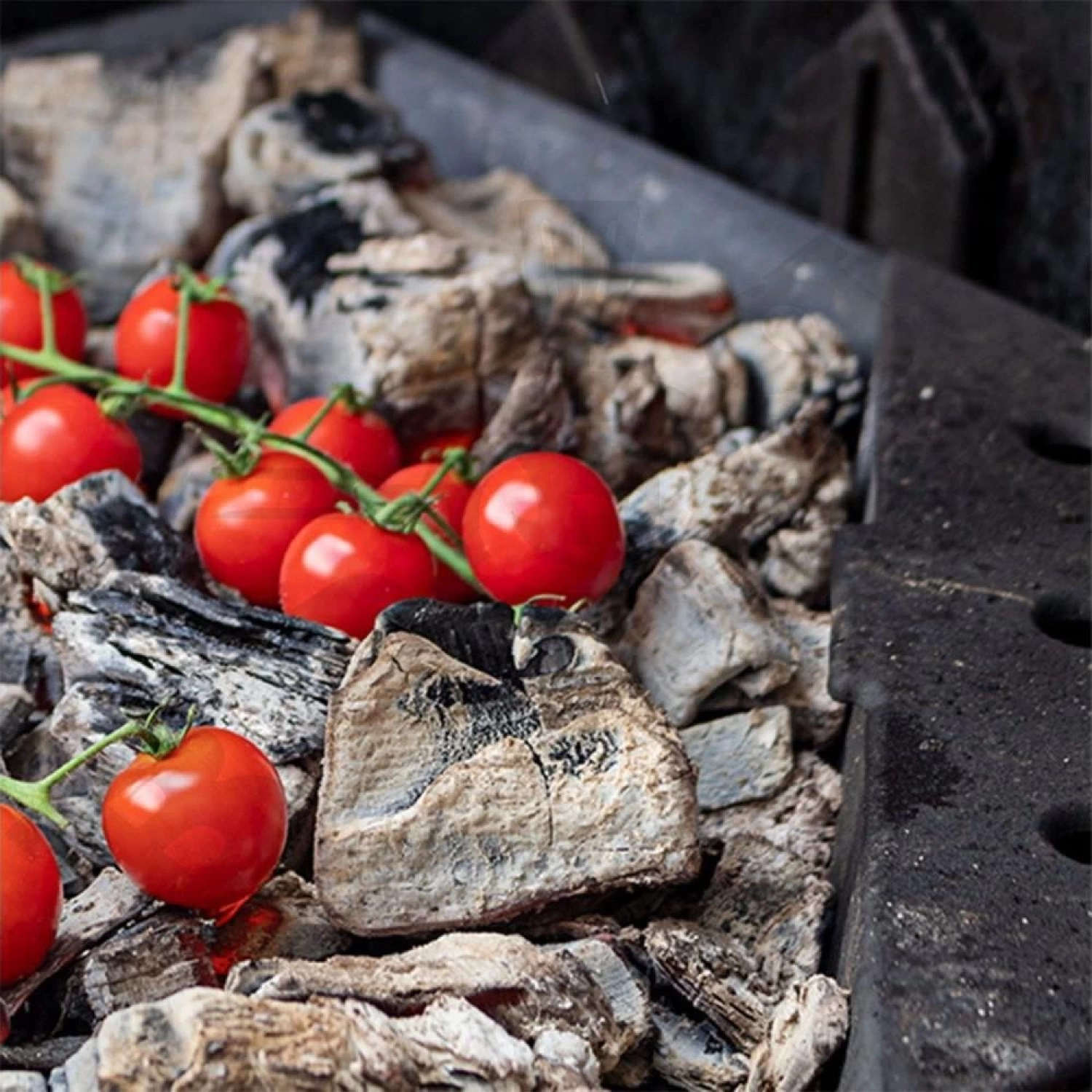 Napoleon Doğal Mangal Kömürü 3 Kg