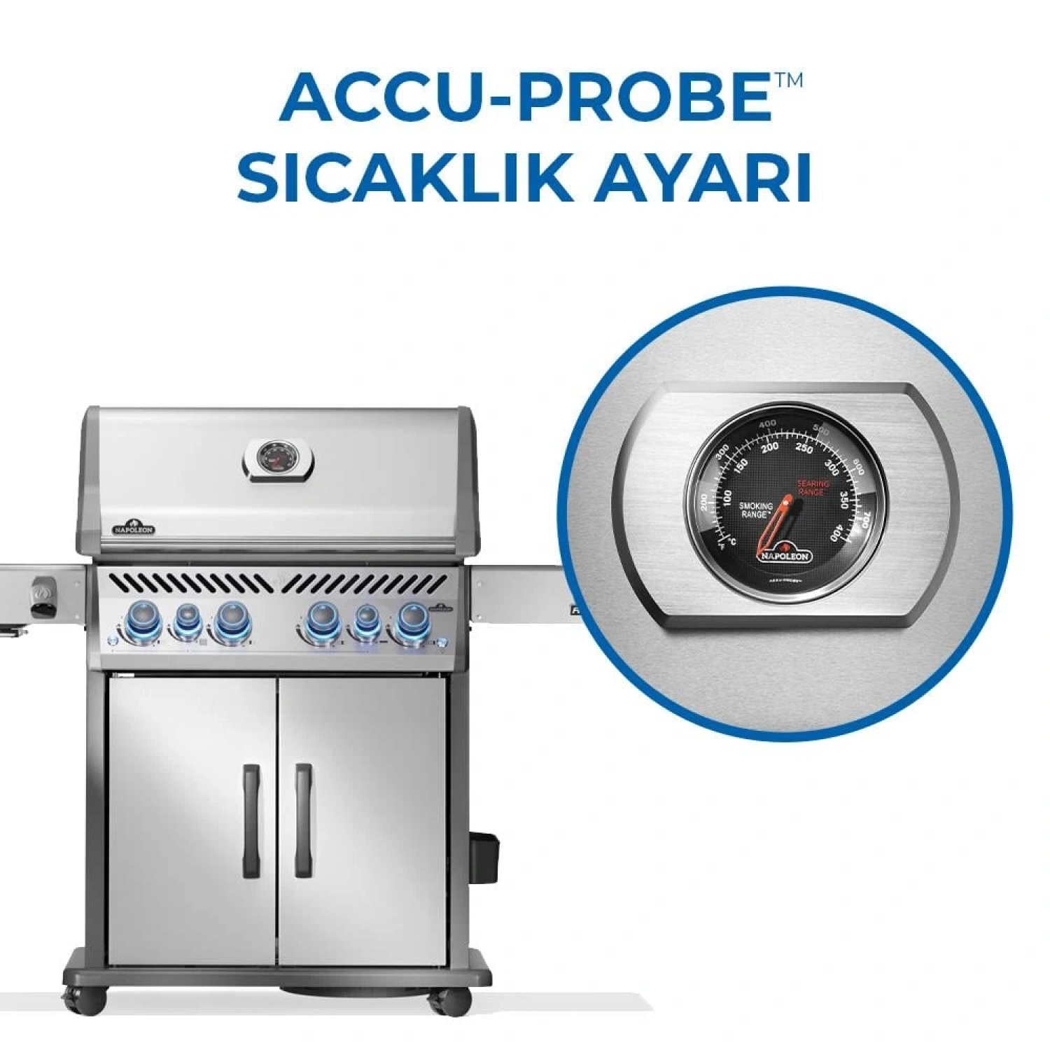 Napoleon Rogue Pro S 525 RSIB Gazlı Mangal