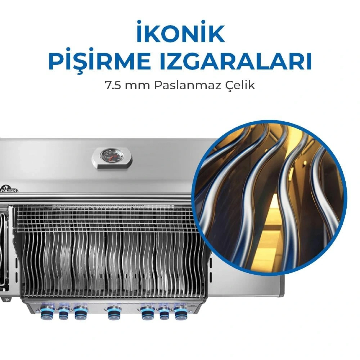 Napoleon Rogue Pro S 625 RSIB Gazlı Mangal