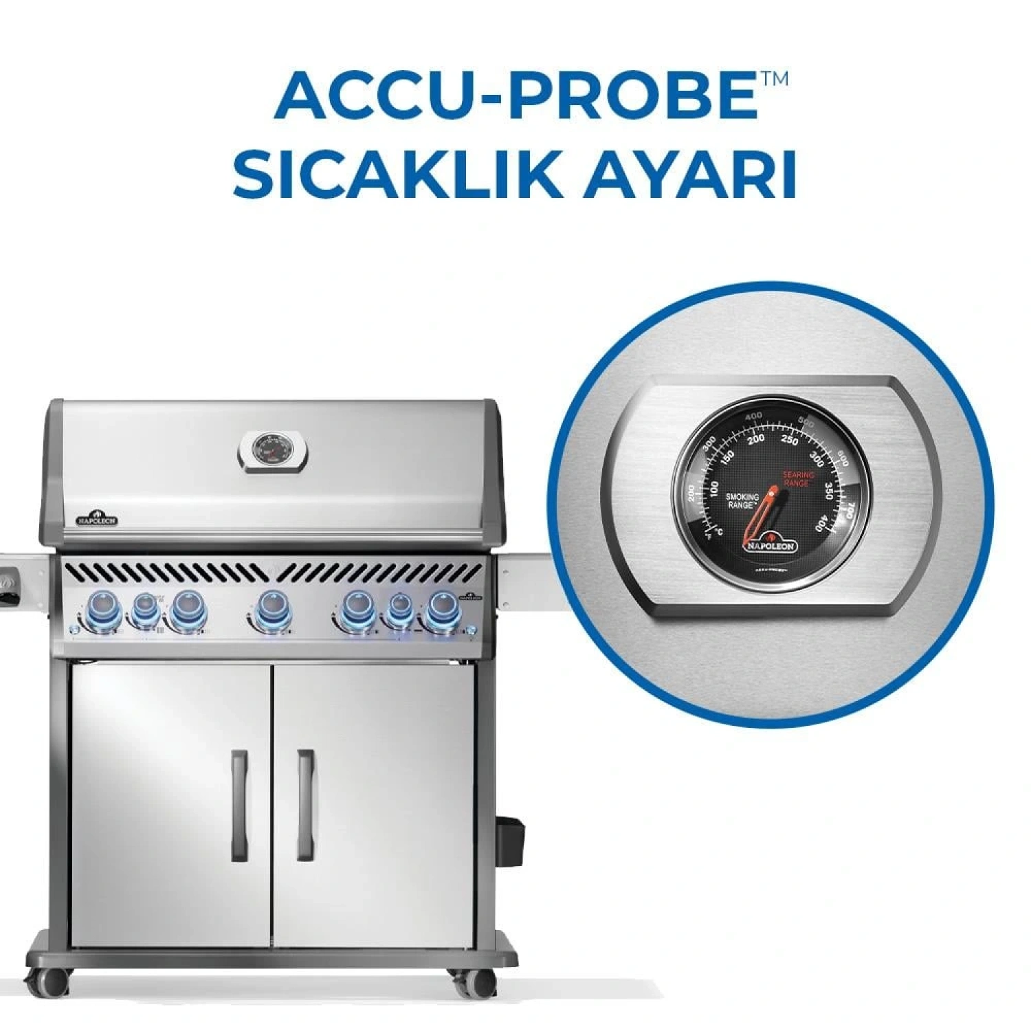 Napoleon Rogue Pro S 625 RSIB Gazlı Mangal