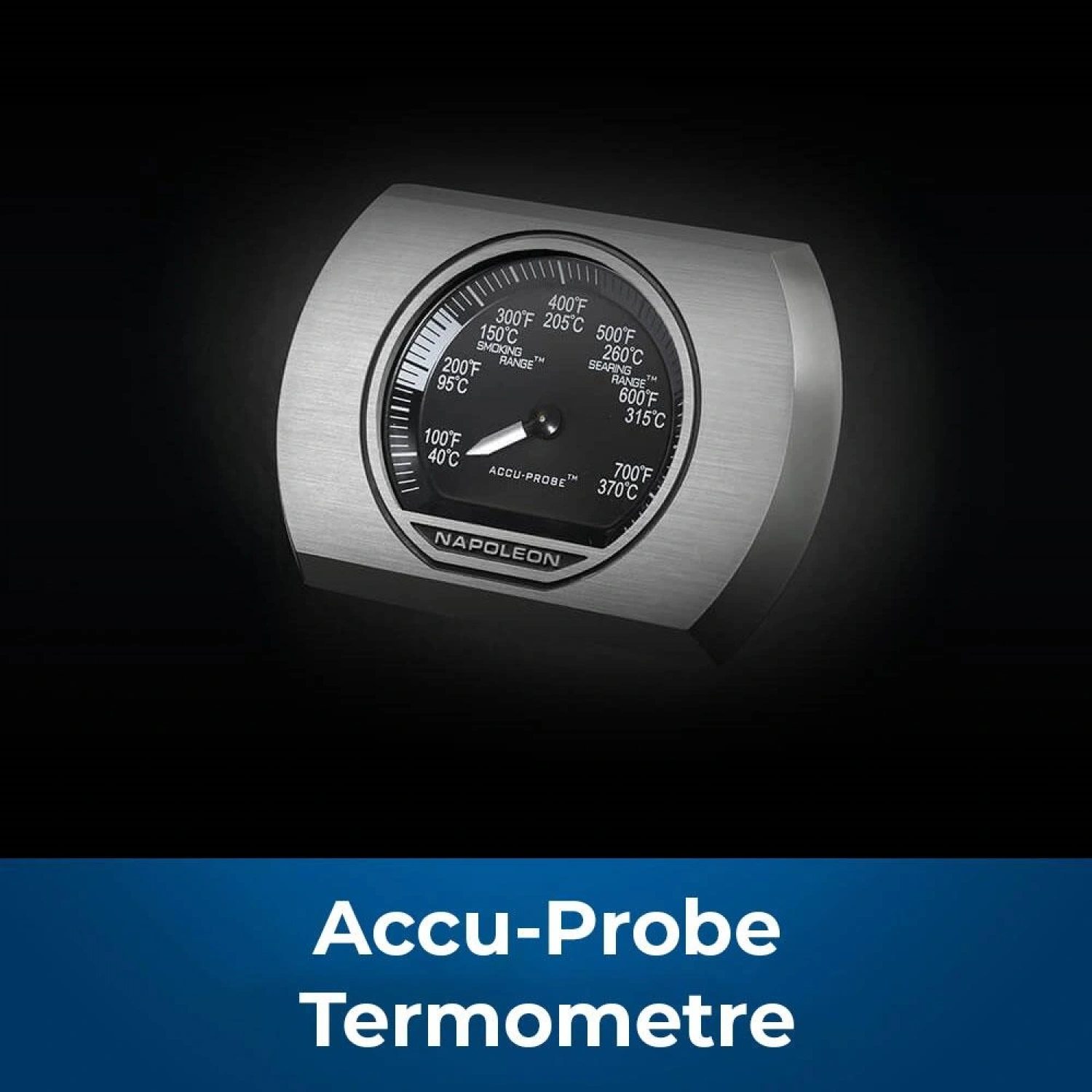 Napoleon Rogue RB 425 RSB Gazlı Barbekü | Gazlı Mangal