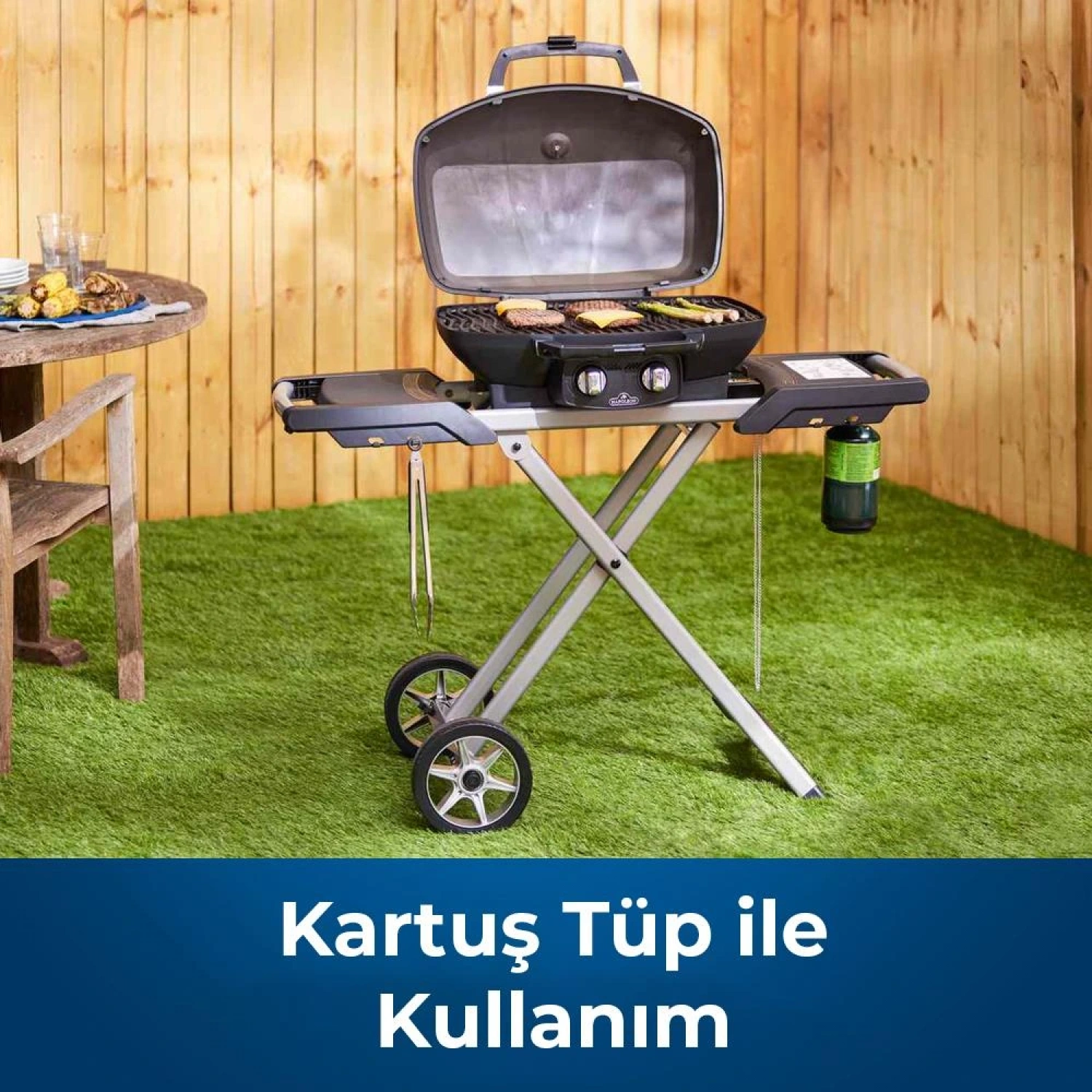 Napoleon Travelq 285X Portatif Gazlı Mangal