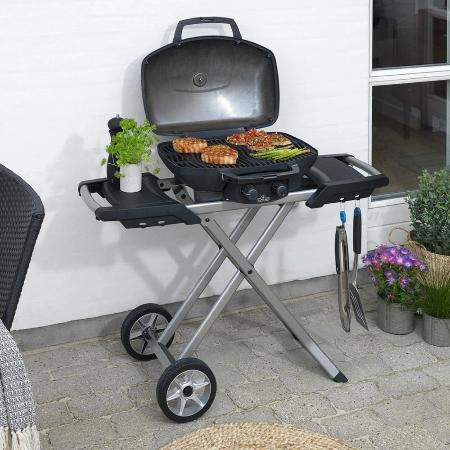 Napoleon Travelq 285X Portatif Gazlı Mangal