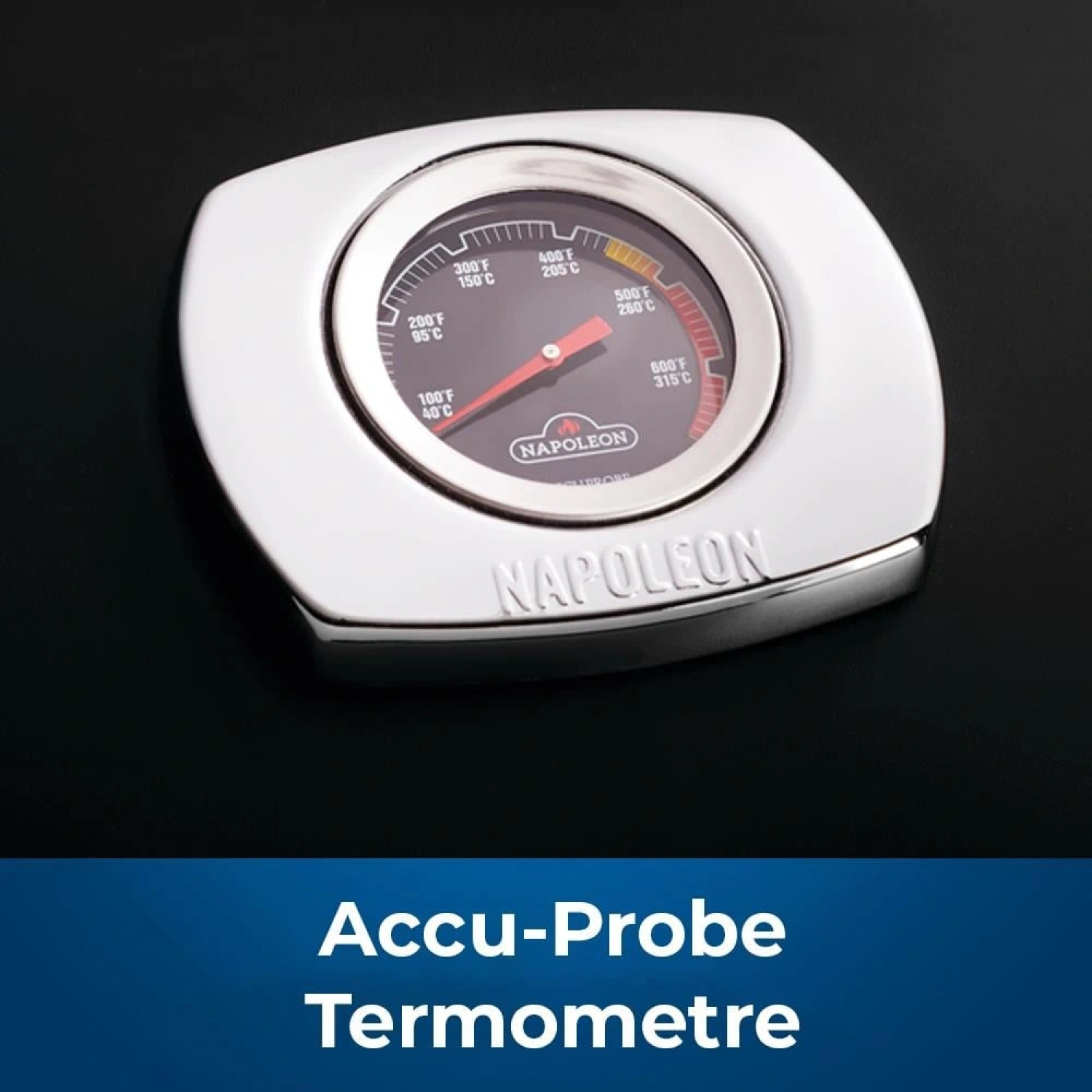 Napoleon Travelq 285X Portatif Gazlı Mangal