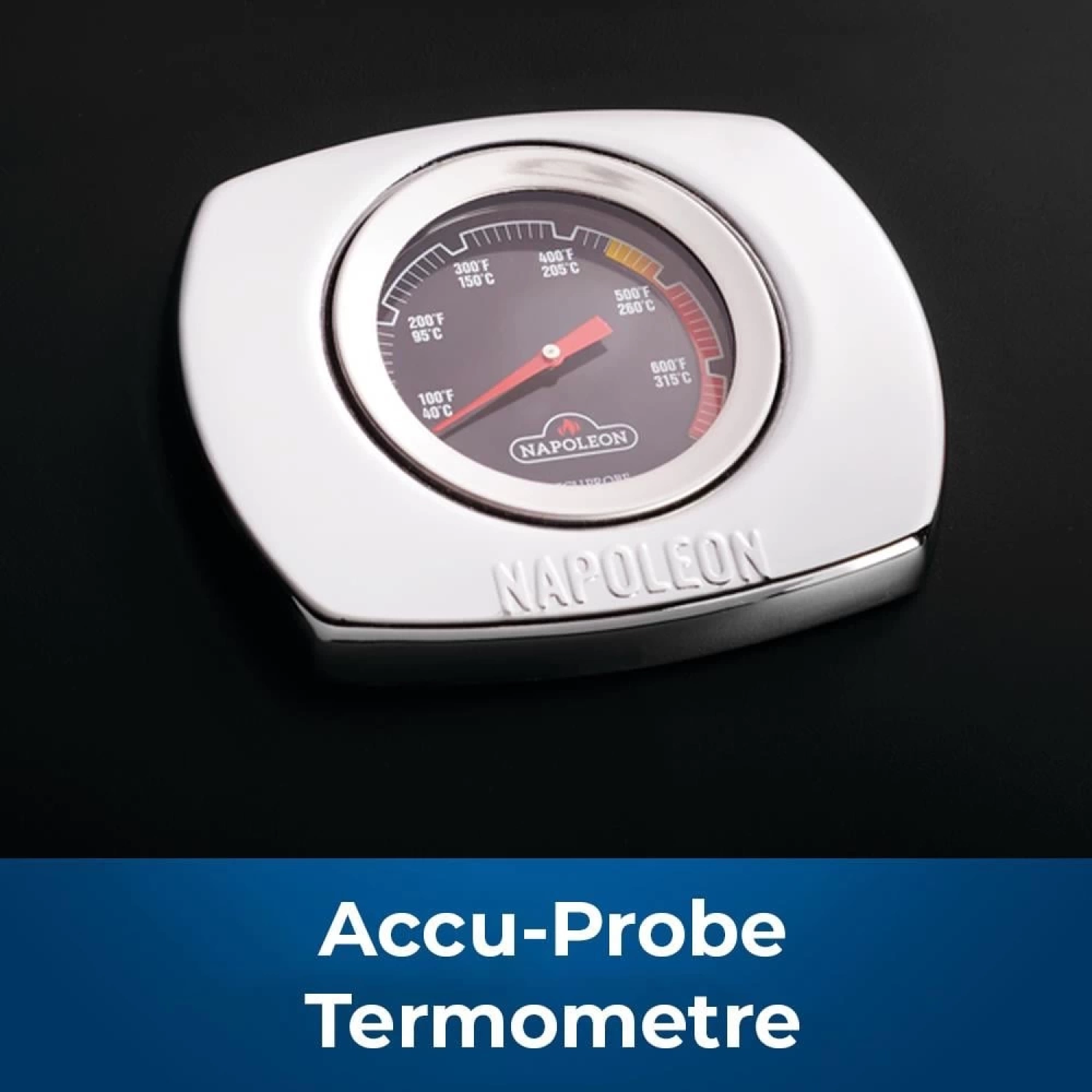 Napoleon Travelq Pro285X Portatif Gazlı Barbekü | Gazlı Mangal