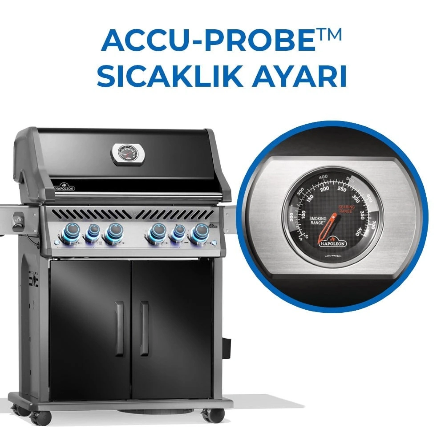 Rogue Pro S 525 RSIB Gazlı Mangal Siyah